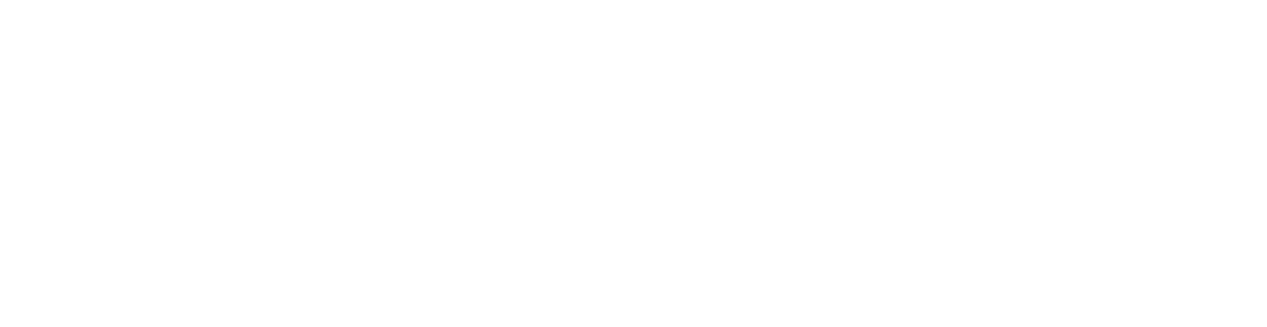 pfullendorfer logo mono w